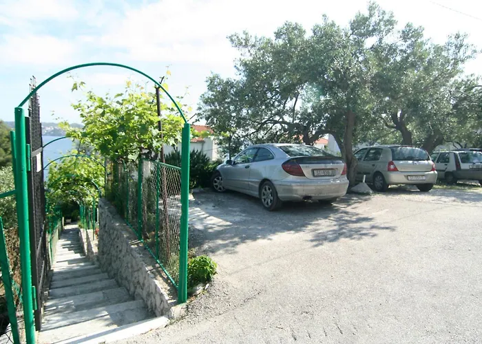 Marta * トロギール