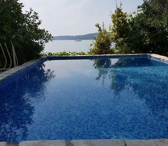 Marta トロギール